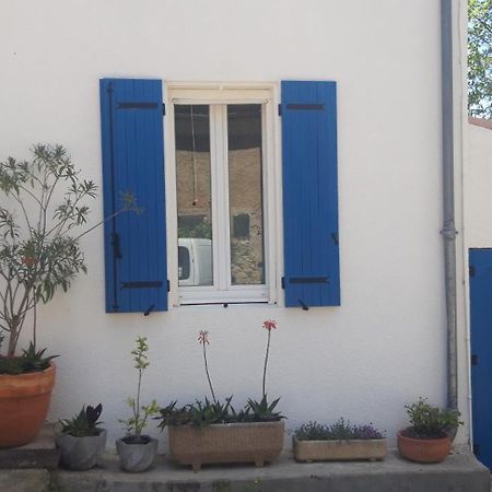 Saint-Nazaire-d'Aude Maison Occitane المظهر الخارجي الصورة